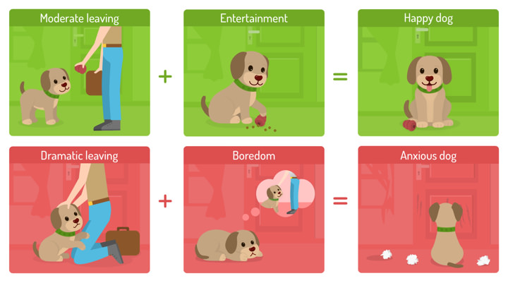 How to say goodbye to your dog